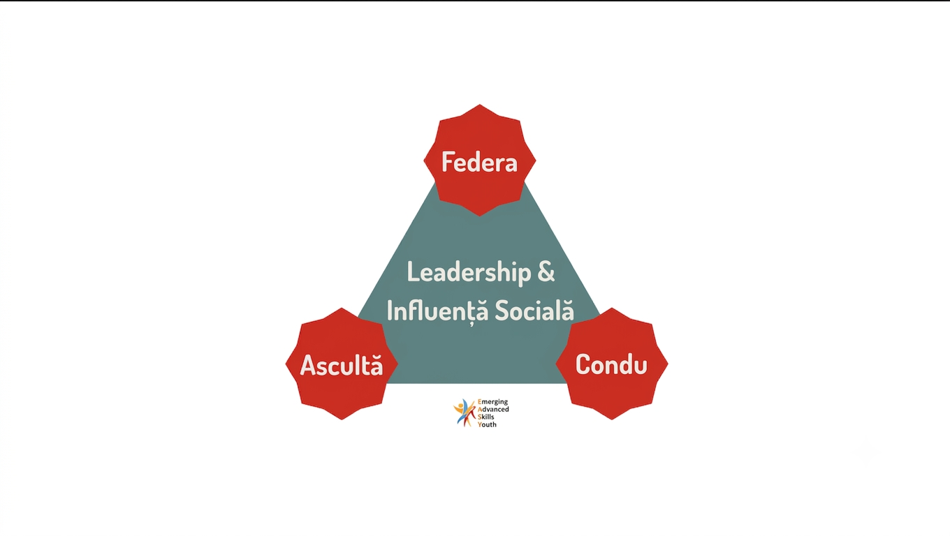 Modulul 6: Leadership și influență socială